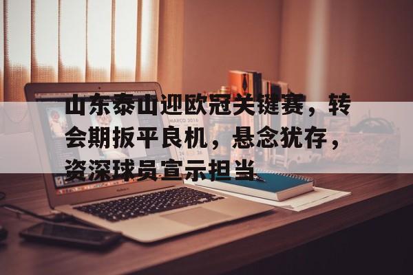 华体会网站入口-山东泰山迎欧冠关键赛，转会期扳平良机，悬念犹存，资深球员宣示担当的简单介绍